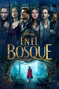 Into the Woods (2014)