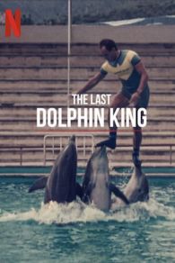 ¿Qué le pasó al rey de los delfines?
